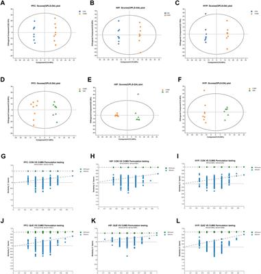 Quercetin reshapes gut microbiota homeostasis and modulates brain metabolic profile to regulate depression-like behaviors induced by CUMS in rats